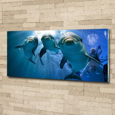 Foto-obraz szkło hartowane Trzy delfiny