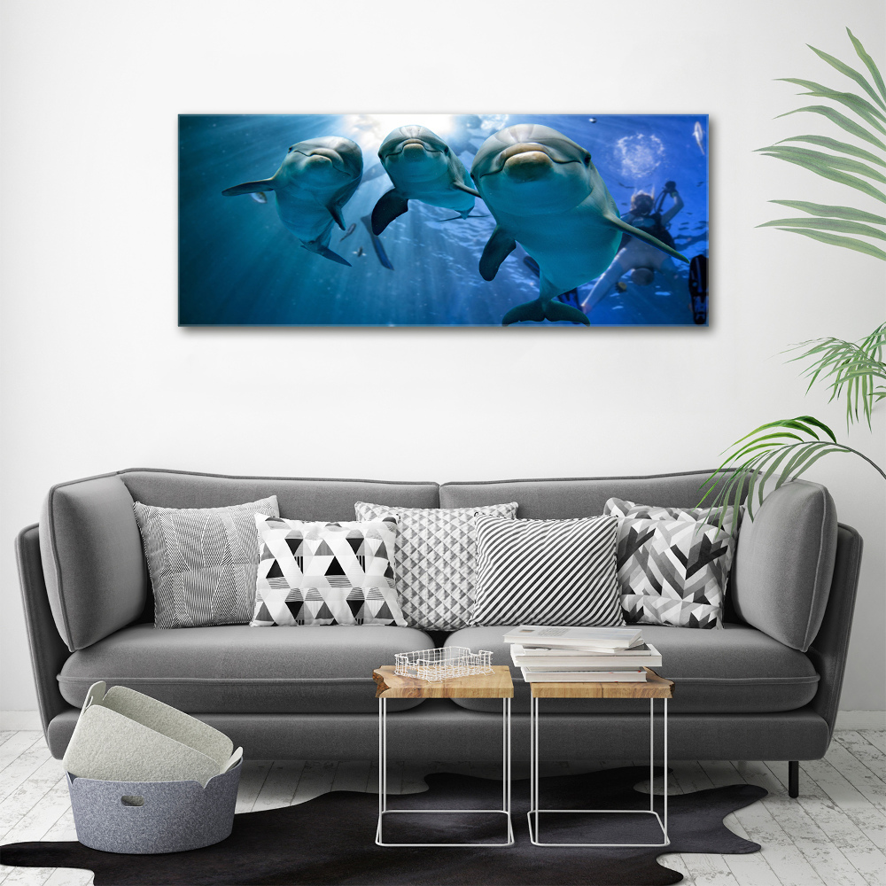 Foto-obraz szkło hartowane Trzy delfiny