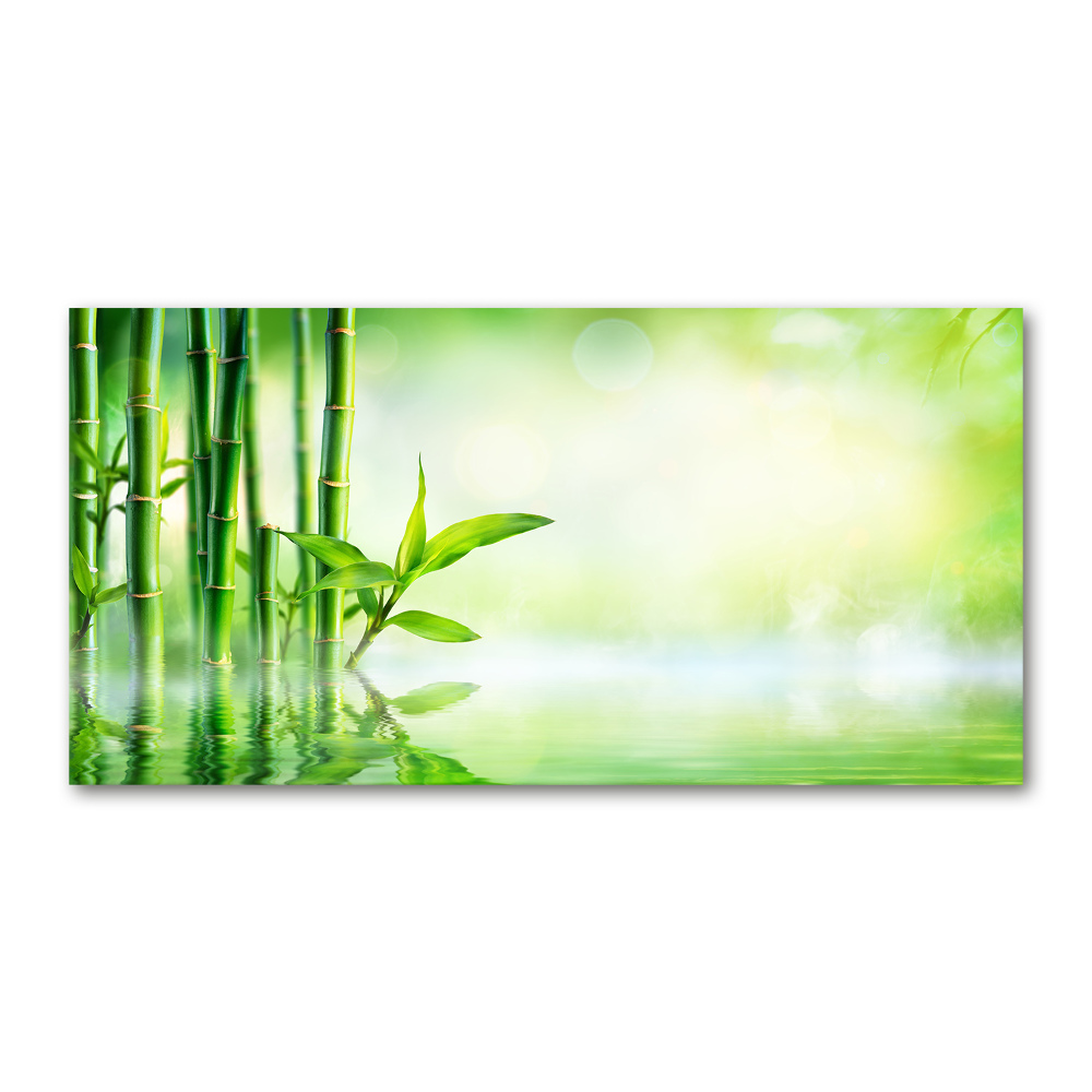 Foto obraz zdjęcie szkło hartowane Bambus