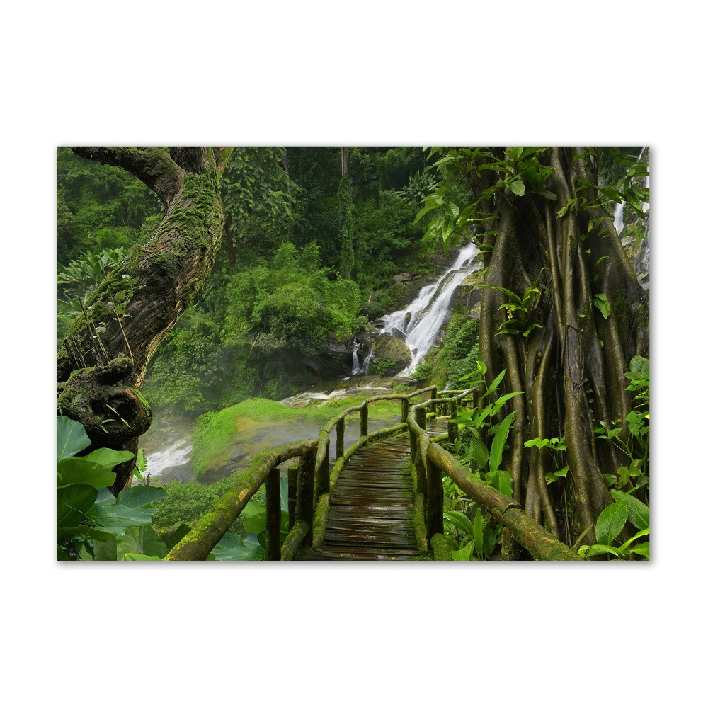 Foto obraz szklany Wodospad w dżungli
