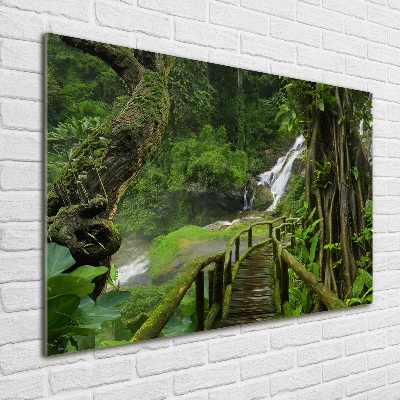 Foto obraz szklany Wodospad w dżungli