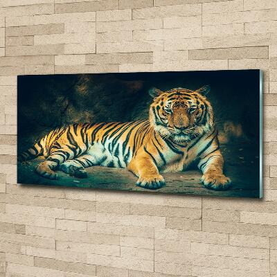Foto-obraz szklany Tygrys w jaskini