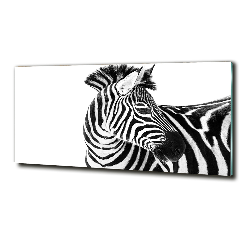 Foto-obraz szkło hartowane Zebra w śniegu