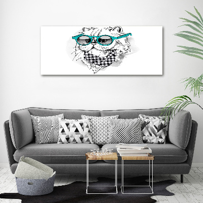 Fotoobraz na ścianę szklany Kot w okularach