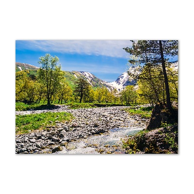 Foto obraz szkło hartowane Rzeka w górach