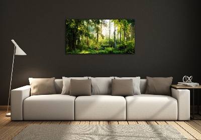 Foto obraz szklany Poranne słońce las
