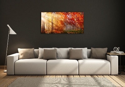 Foto obraz szkło hartowane Jesienny las