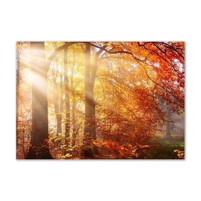 Foto obraz szkło hartowane Jesienny las