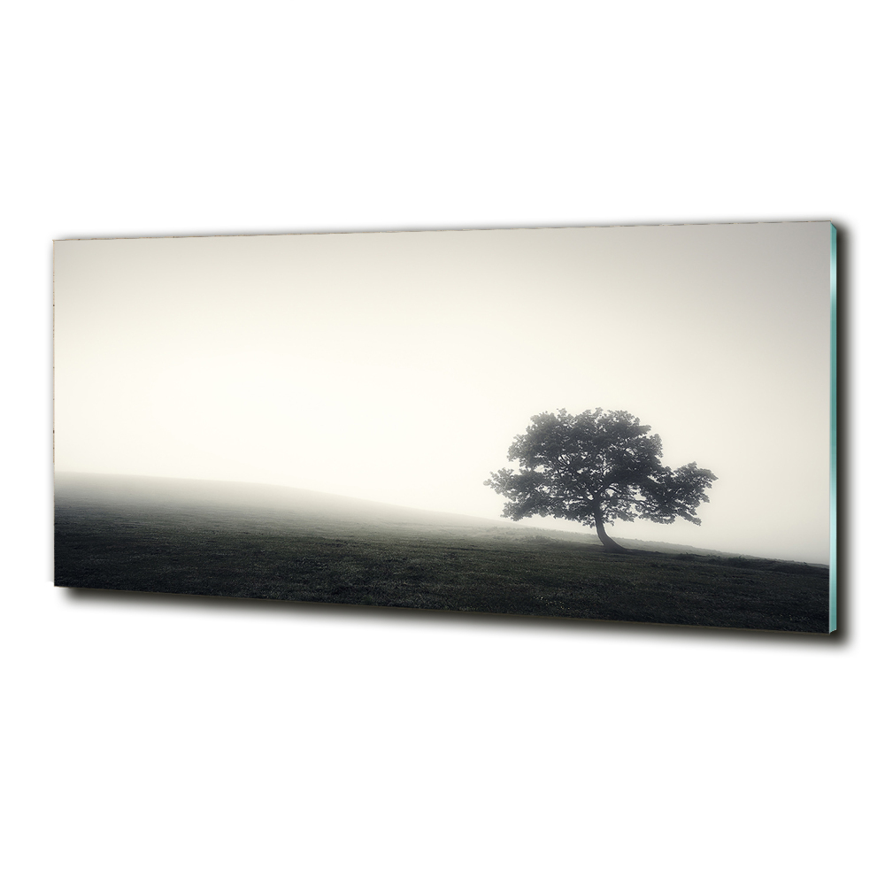 Foto obraz szkło hartowane Samotne drzewo