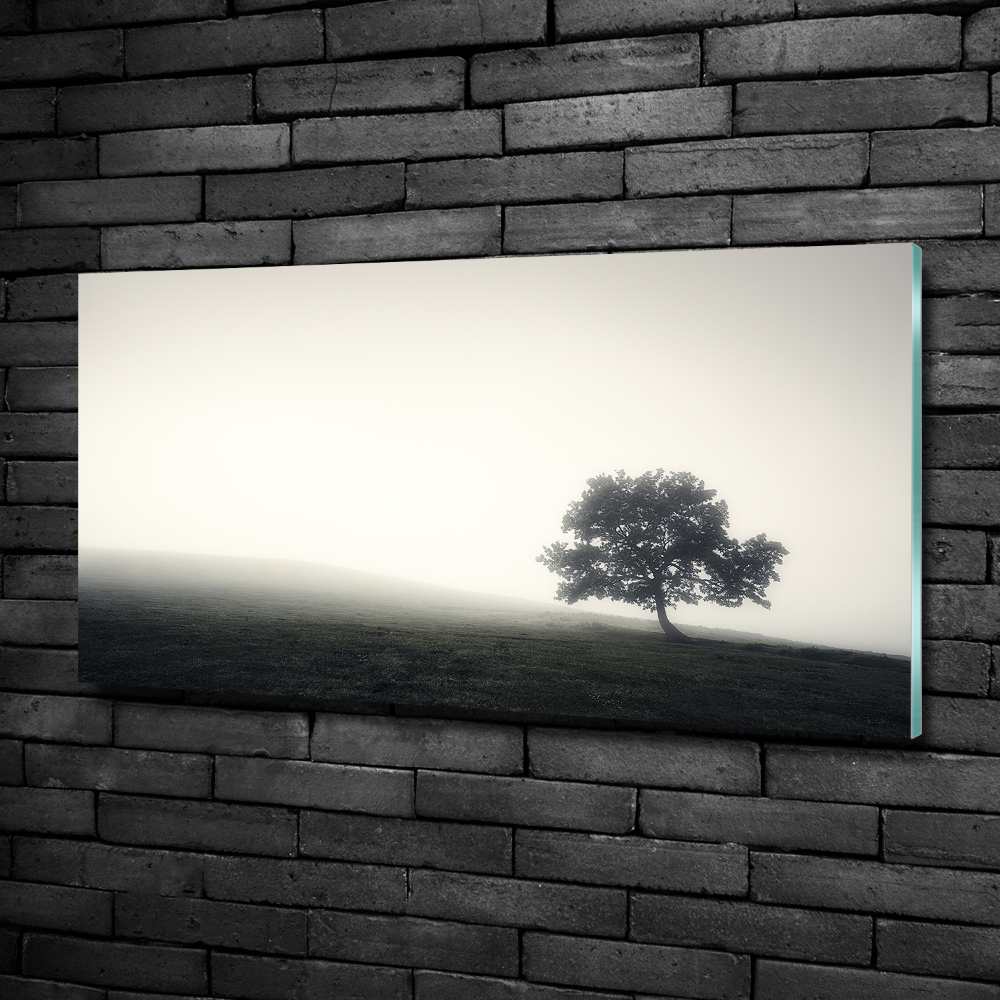 Foto obraz szkło hartowane Samotne drzewo
