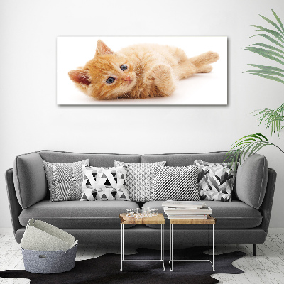 Foto-obraz szkło hartowane Rudy kot