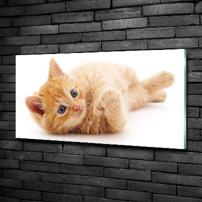 Foto-obraz szkło hartowane Rudy kot