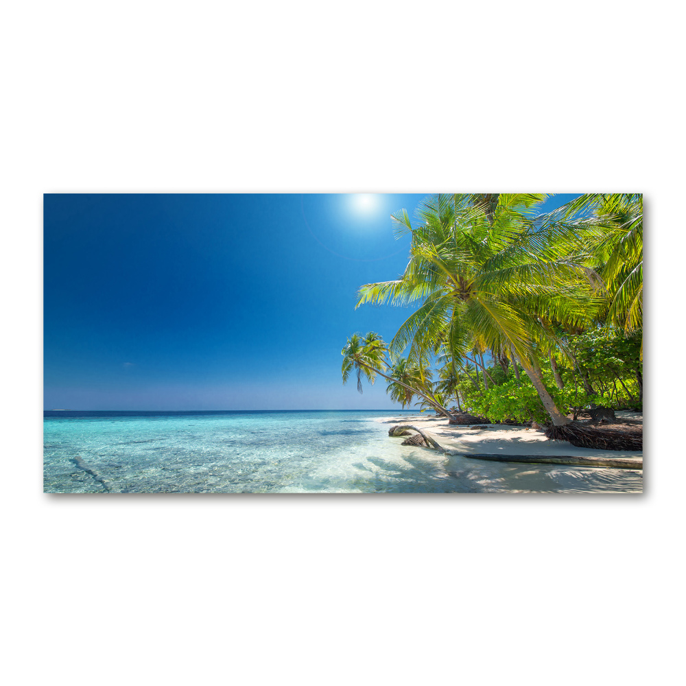 Foto obraz szkło hartowane Malediwy plaża