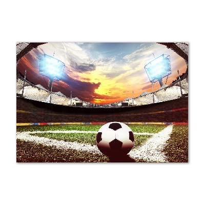 Foto obraz szklany Piłka na stadionie