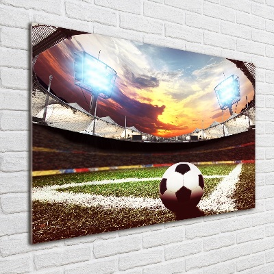 Foto obraz szklany Piłka na stadionie
