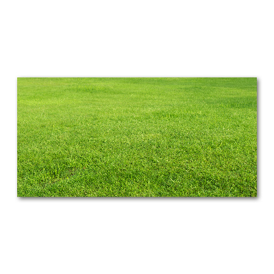 Foto obraz szkło hartowane Zielona trawa