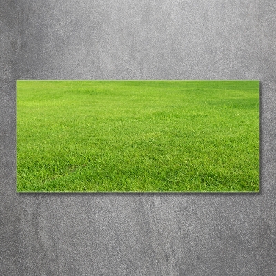 Foto obraz szkło hartowane Zielona trawa