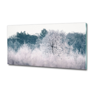 Foto obraz szkło hartowane Drzewa zimą