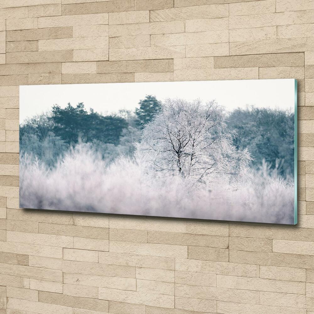 Foto obraz szkło hartowane Drzewa zimą