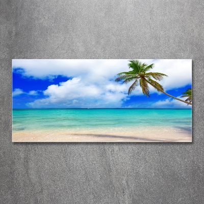 Foto obraz szkło hartowane Karaiby plaża