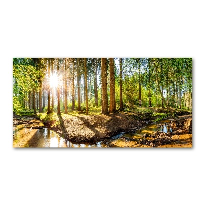 Foto obraz szkło hartowane Panorama las
