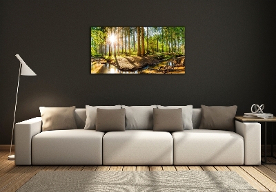 Foto obraz szkło hartowane Panorama las