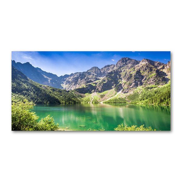 Foto obraz szklany Morskie oko Tatry