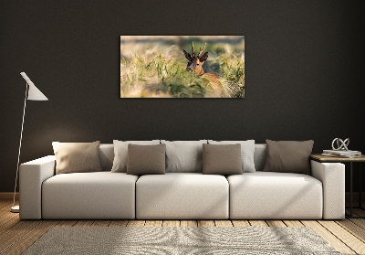 Foto-obraz szkło hartowane Jeleń w polu