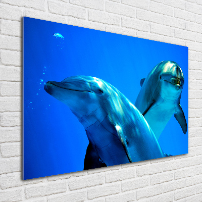 Foto-obraz szkło hartowane Dwa delfiny