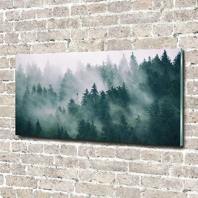 Foto obraz szkło hartowane Mgła nad lasem