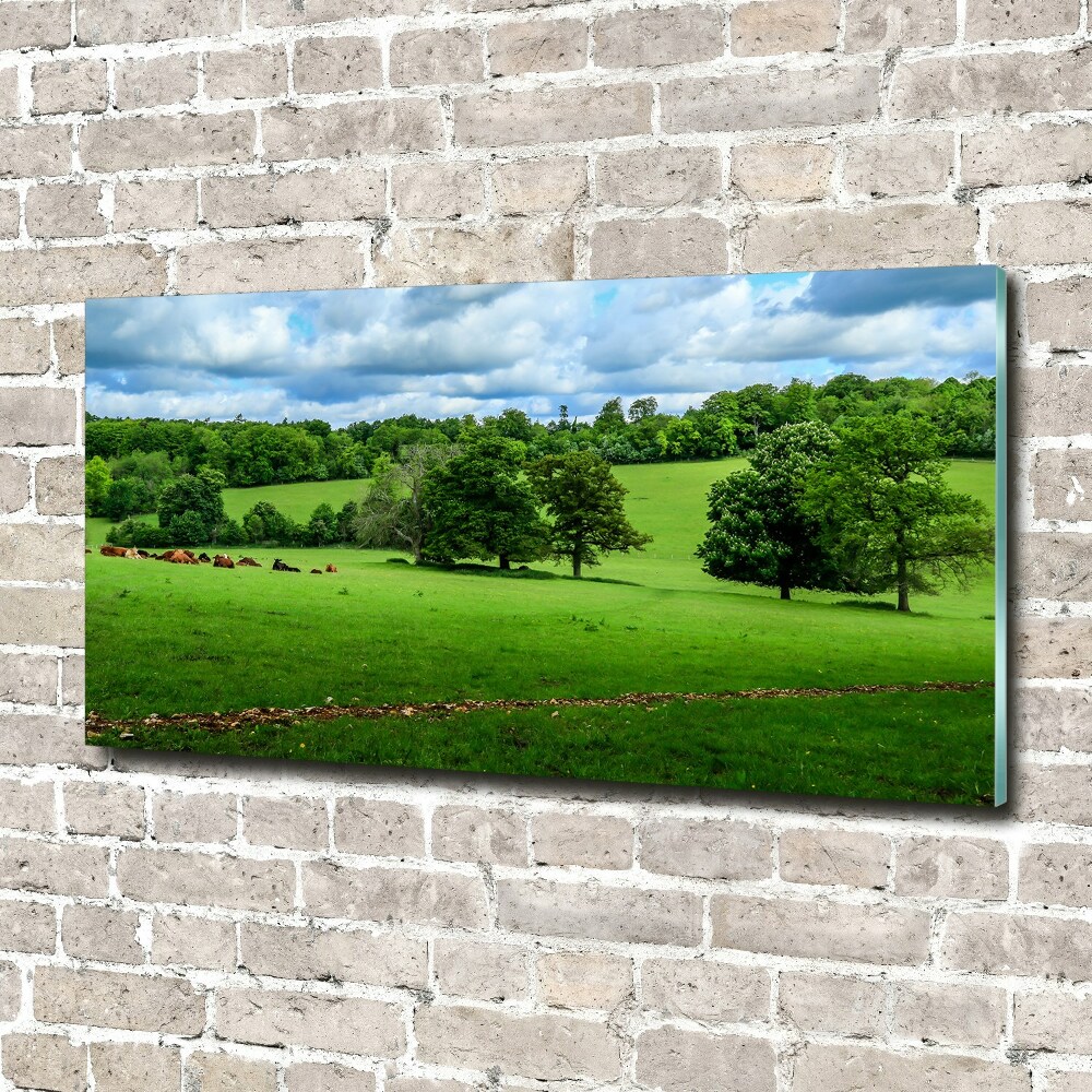 Fotoobraz na ścianę szklany Zielone wzgórza