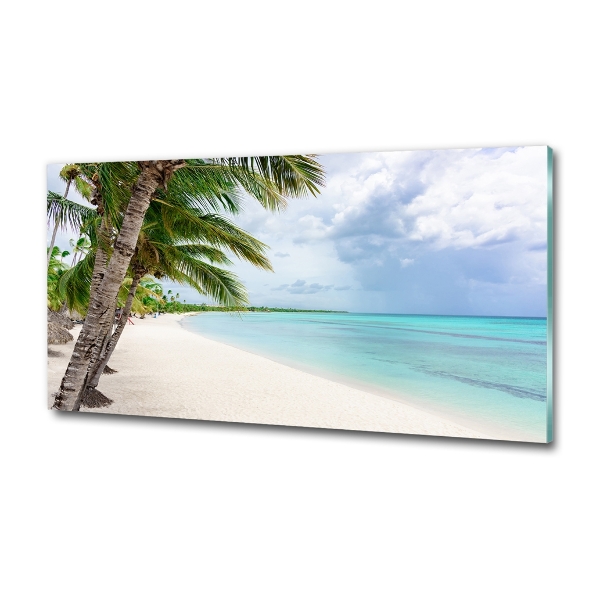 Foto obraz szklany Tropikalna plaża