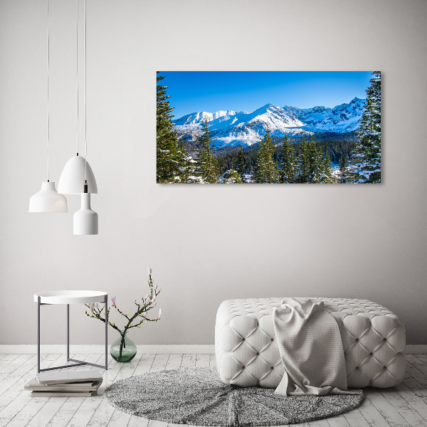 Foto obraz szkło hartowane Panorama Tatr