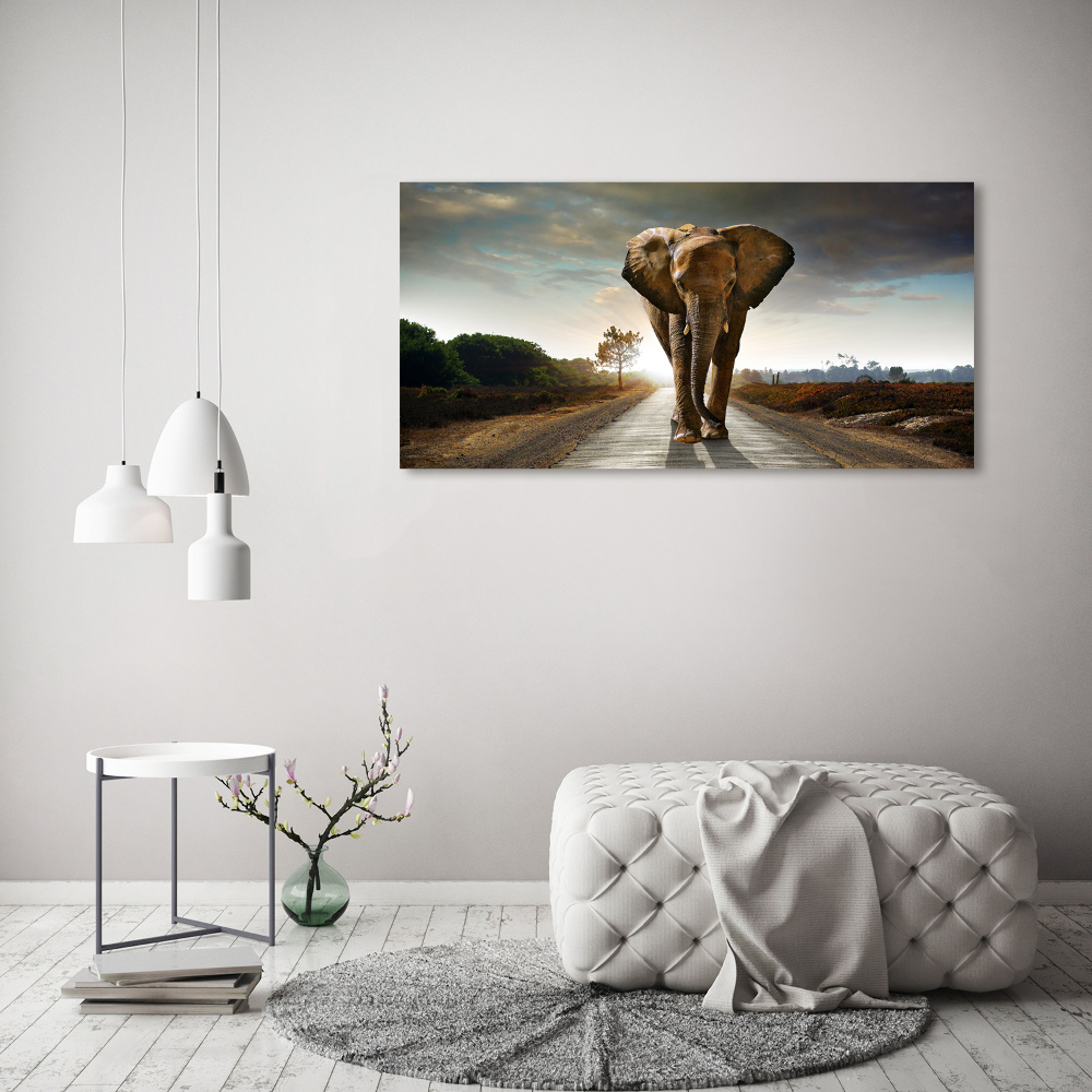 Foto-obraz szklany Spacerujący słoń