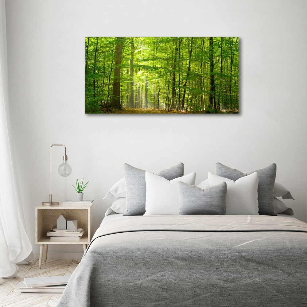 Foto obraz szkło hartowane Liściasty las
