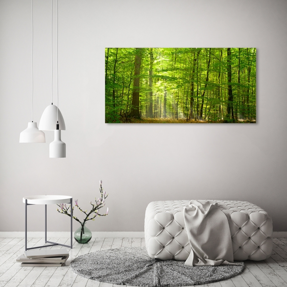 Foto obraz szkło hartowane Liściasty las