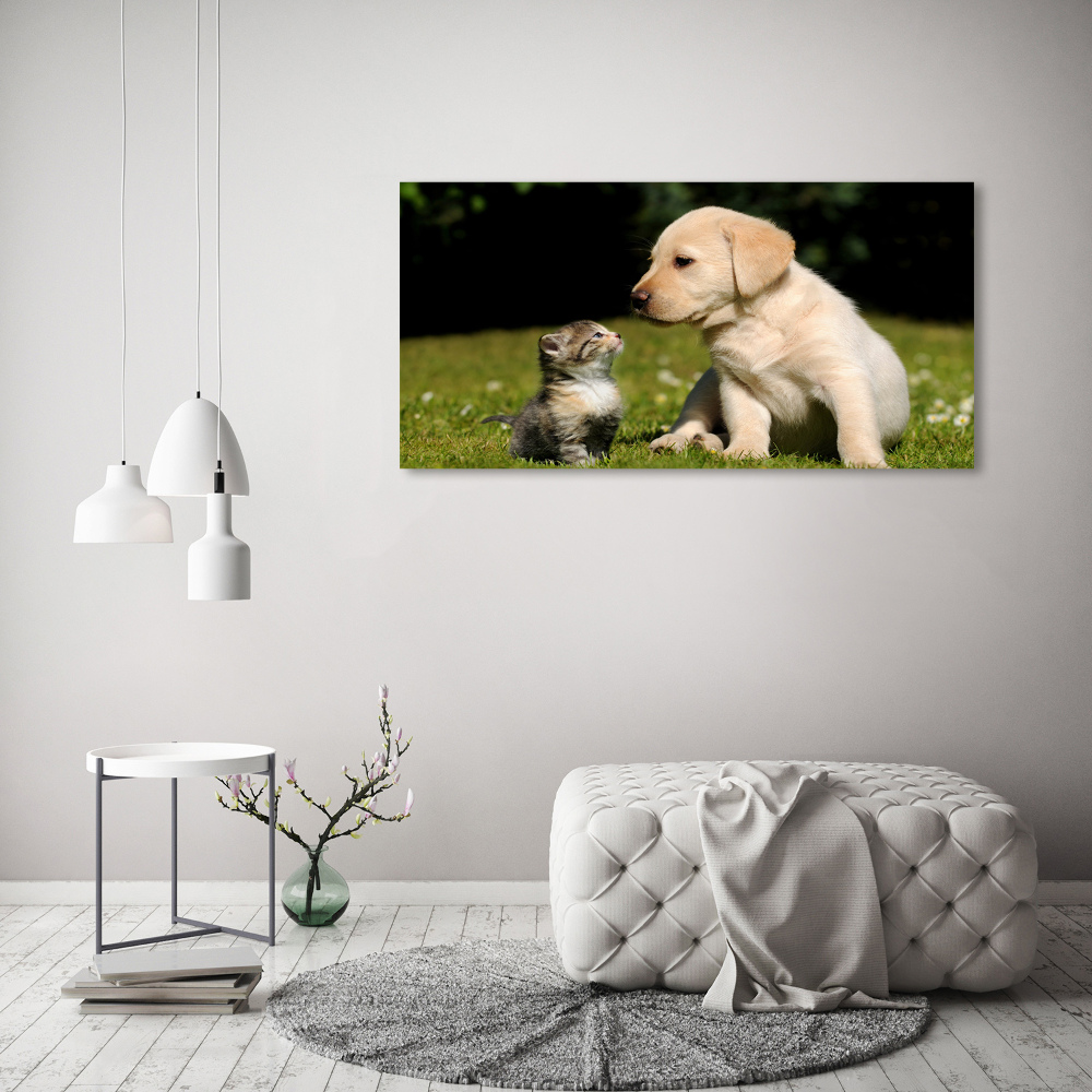 Foto-obraz szklany Pies i kot na łące