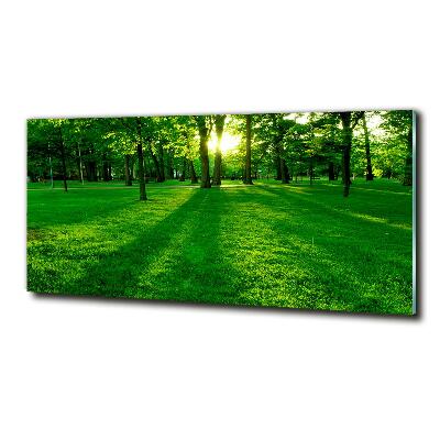 Foto obraz szkło hartowane Trawa w parku