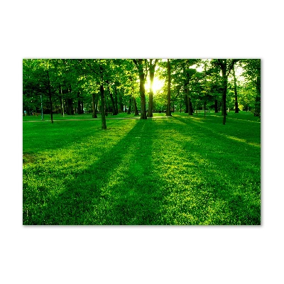 Foto obraz szkło hartowane Trawa w parku