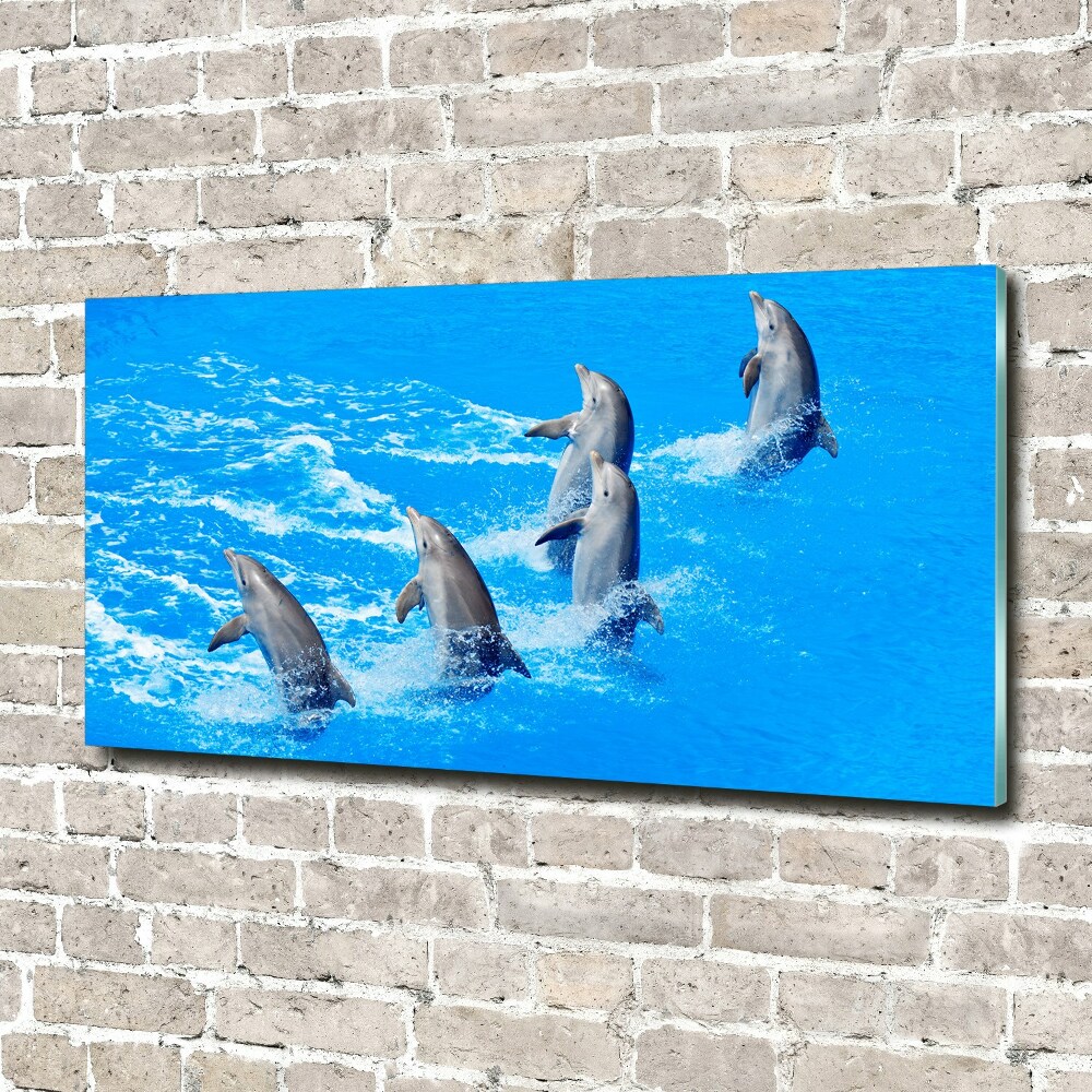 Fotoobraz na ścianę szkło hartowane Delfiny