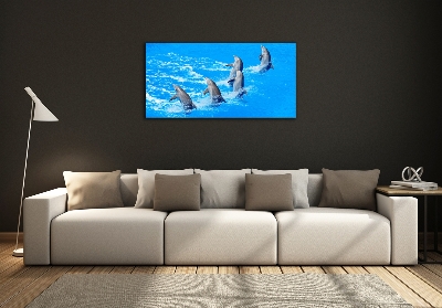 Fotoobraz na ścianę szkło hartowane Delfiny