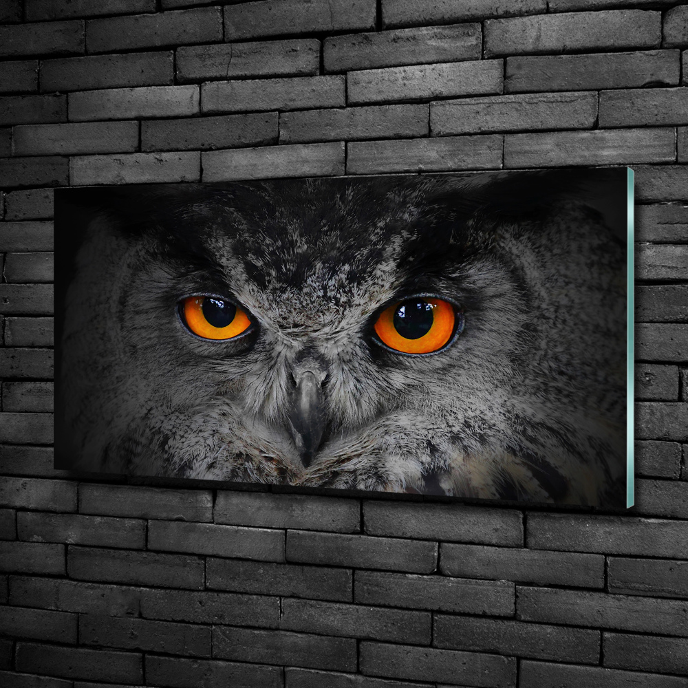 Foto-obraz szklany Diabelskie oczy sowy