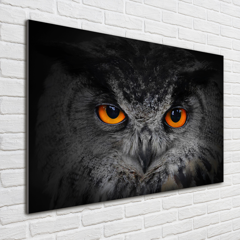 Foto-obraz szklany Diabelskie oczy sowy