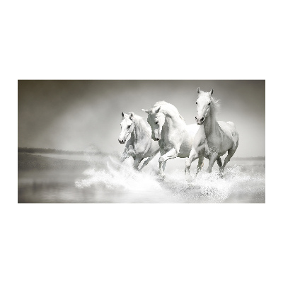 Foto-obraz szkło hartowane Białe konie