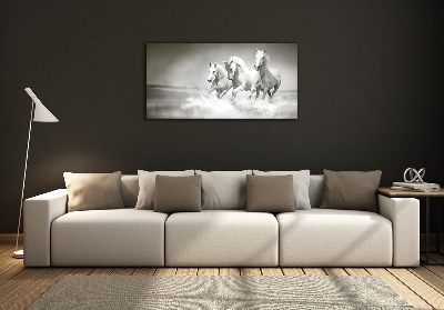 Foto-obraz szkło hartowane Białe konie