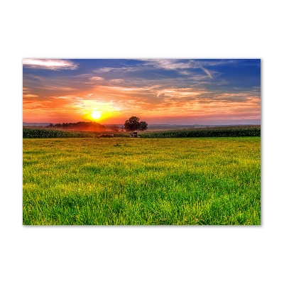 Foto obraz szklany Zachód słońca łąka