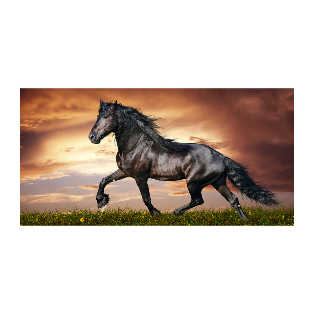 Foto-obraz szkło hartowane Kłusujący koń