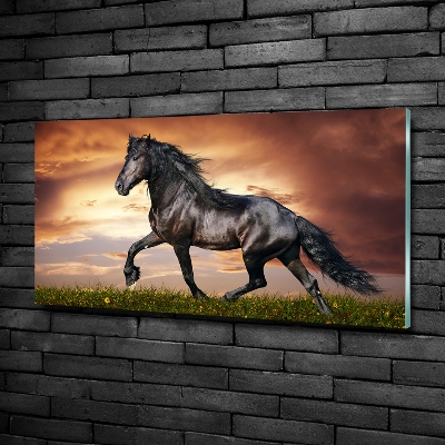 Foto-obraz szkło hartowane Kłusujący koń