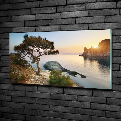 Foto obraz szklany Drzewo nad morzem