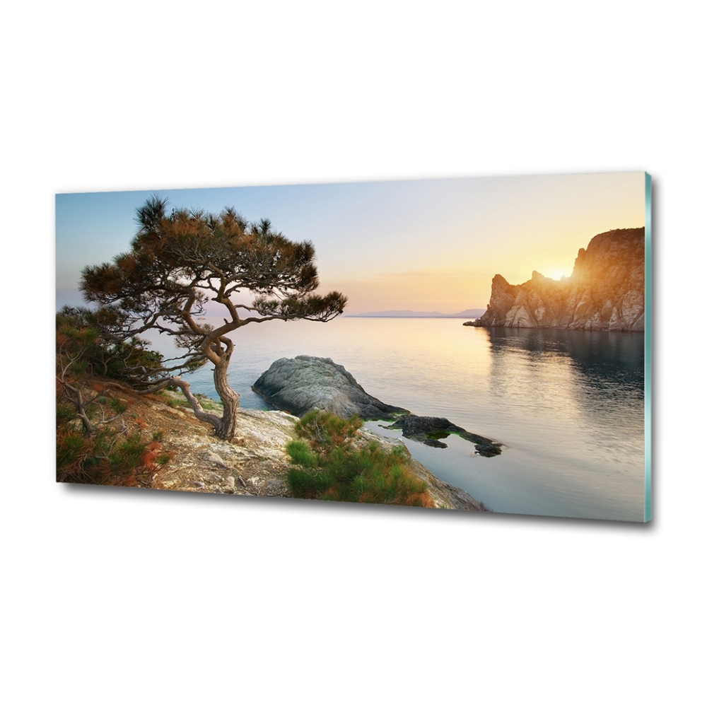 Foto obraz szklany Drzewo nad morzem